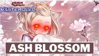 Ash Blossom Experience.EXE! Yu-Gi-Oh! Master Duel!