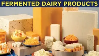 Fermented Dairy Products