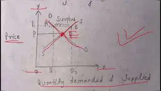 Price floor and it&rsquo;s implications || class 12 microeconomics notes