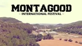MONTAGOOD XII