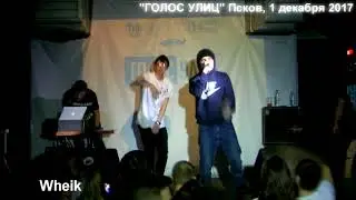 ГОЛОС УЛИЦ ПСКОВ 1 декабря 2017 - отчет