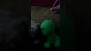 #xdraco