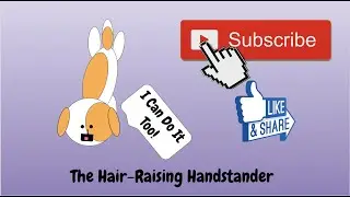 The Hair Raising Handstander