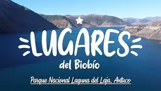 Lugares del Biobío #8 - Parque Nacional Laguna del Laja (Antuco) / Drone