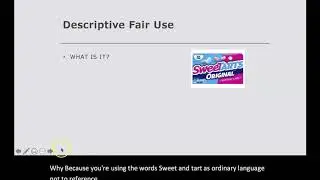 Trademark fair use defenses