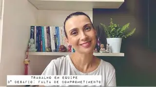 Trabalho em equipe 3° desafio: falta de comprometimento