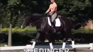 Stedinger - Sosath
