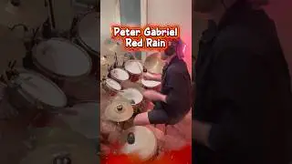Drum and vocal cover || Peter Gabriel - Red Rain