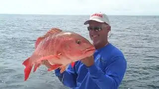 Sportsman's Adventures: 
