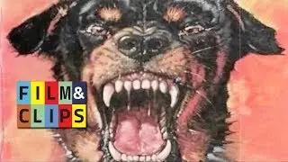 Rottweiler, Cani Assassini - Film Completo by Film&Clips
