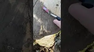 Mini dynamite