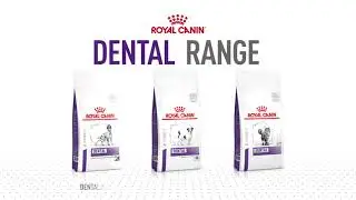 Royal Canin Dental range: Support your pet's oral health.