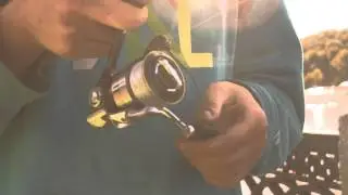 Twitch Energy - The Art of Fishing