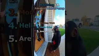 Ranking Top 5 IA Animal Hidropump 🌊 #shorts #top5 #funny