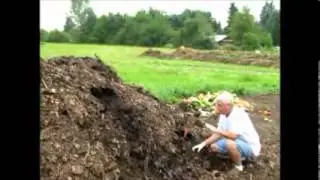 Redworms in an aerobic compost