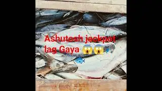 * Aaj toh jackpot lag gaya! 🐟🔥 * Hamari naav machhliyo se bhar gayi! 🚣&zwj;♂️🐟#fish #how #hookfishing