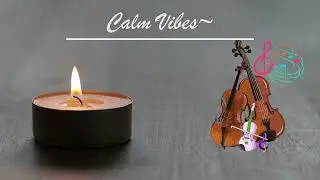 The Violin's Voice: A Musical Exploration of Emotion #music