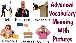 Advanced English Vocabulary with Pictures|| 10 English Words Meaning with pictures || English Words