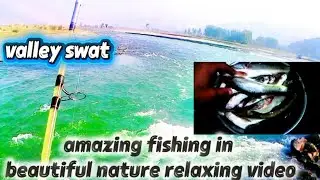 Amazing fish catching videos | fishing videos | machhali ke video