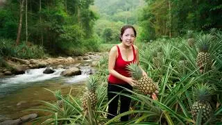 [TIMELAPSE] --366 Days Harvesting Wild Pineapple Under The Stream, Straw Mushrooms Go To Sell