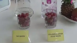 Insaan Columbus Demo: Vege Wash Test for Grapes 蔬菜洗洁测试