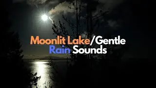 Epic Moonlight Across Lake/Rain Sounds/Moonlit Lake/Sleeping