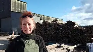 Aly May - Wood supply chain during Covid-19