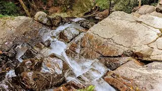 Greene's Falls Trail Mt Glorious