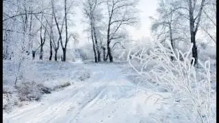 Les 4 saisons de Vivaldi - Hiver - 1er mouvement - Allegro No Molto - Musique classique