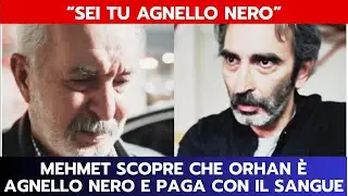 IO SONO FARAH ANTICIPAZIONI: MEHMET SCOPRE CHE ORHAN &Egrave; AGNELLO NERO E PAGA CON IL SANGUE