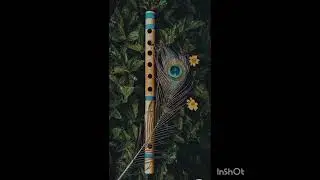 Giridhari charana darshan piyasi mira chale braja dham ❤️