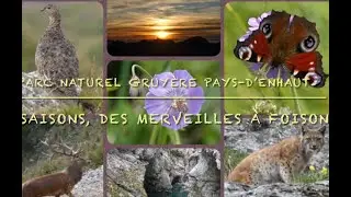 FAUNE 2025 PARC NATUREL REGIONAL GRUYERE PAYS-D'ENHAUT, Suisse, LYNX, CASTOR, GYPAETE, AIGLE, CERF..