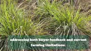 Empowering herb farmers in Nan through digital traceability (in Partnership with ADB and AIT)