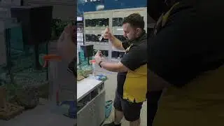 How to set up your Betta tank - Part 2
