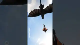 Dragons : The Nine Realms VS How to Train Your Dragon #dreamworks