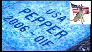 SOF K9 Pepper Combat Story