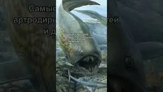 Остатки панцирной рыбы из Санкт-Перербурга #shorts #палеонтология #наука