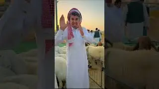 تغطية في مدينة الانعام ببريده يوم السبت 1446/2/16