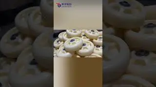 Nylon Caster Wheels
