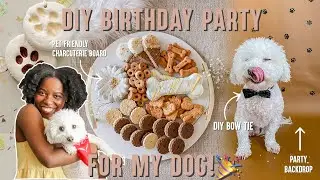 PET FRIENDLY BIRTHDAY DIYS & PARTY DECOR🎉|Photo Backdrop, Paw Print Keepsake, Dog Charcuterie Board