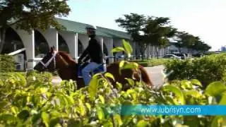 Champion Trainer Todd Pletcher for LubriSyn