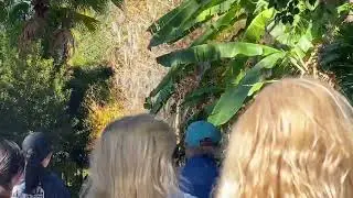1/6/26 Winter Park Lake Cruise