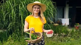 Simple German Country Life - FIRST HARVEST VLOG and stuffed Zucchini with garden veggies recipe
