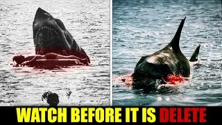 The Deleted Scene From Jaws No one Was Supposed To See!