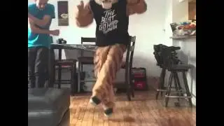 Mascot Dance Move Fail
