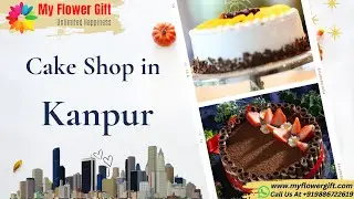 Cake shop in Kanpur | Online Cake Delivery in Kanpur | Same Day and Midnight Delivery