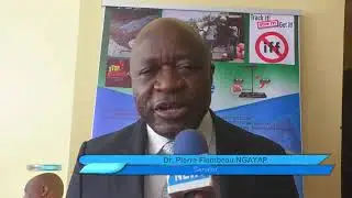 Presentation of the state of tax equity in Cameroon