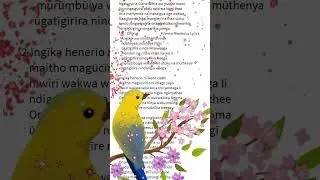 Ndahoya by shirū Ann lyrics video #music #gospelmusic