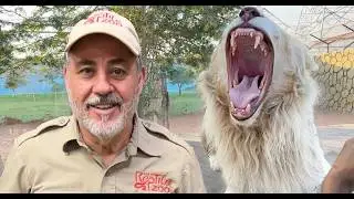 THE MAN LOVED BY LIONS AND TIGERS 🤩