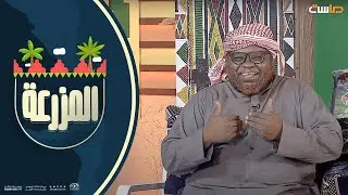 محمد الشمراني تحمس بأداء الدور لكن فصل فجأة عن أبو دباش 😂
